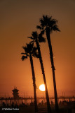 Landscapes & Waterscapes