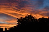 From our window this morning