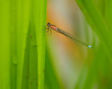 DSCF5684