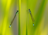 DSCF5623