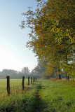 Herfstkleuren (Losser)