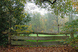 DSCF0327 (Springendal)