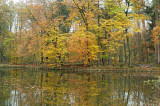 DSCF0356 (Springendal)