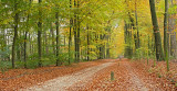 DSCF0351 (Springendal)