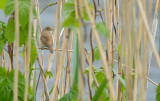 DSCF1177