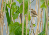 DSCF1193