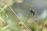 DSCF1566