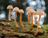 DSCF3889 (Twickel-Delden)