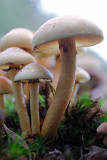 DSCF4018 (Twickel-Delden)