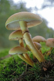 DSCF4025 (Twickel-Delden)