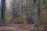 DSCF4550 Twickel-Delden