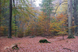 DSCF4544 Twickel-Delden