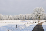 Vliegveldweg / Hengelo