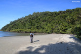 7197-daintree.jpg