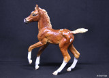 Breyer classic foal CM by Karly Allender / Charli Hunter