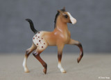 Breyer Stablemate G2 Trotting foal - blanket appaloosa