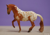 Breyer Stablemate G5 Valegro - chestnut Appaloosa