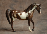 Breyer classic Johar mold - chestnut overo