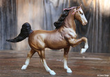 Breyer Five Gaiter - unpainted hooves