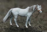 Breyer Stablemate CM by Sue Laurie