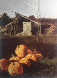 Pumpkins (1964)