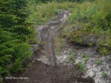 DSCF1210.jpg