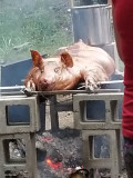 20190803_185610a.jpg
