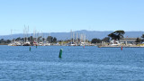 Monterey Bay Whale Watch 2022