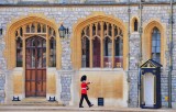Windsor Castle Guard