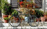 bicycle and flowers.