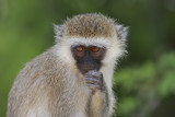 Tanzania 2011