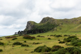 D817920.jpg