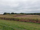 17 Oct Farm Field