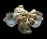 Peeled garlic and its cloves