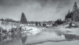 Black and White Digital