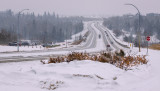 Edmonton