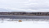 Edmonton Solar Farm