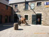 Old Town stables