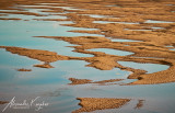 Low-tide