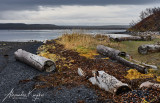 201009-2459.jpg
