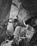 201009-2600.jpg
