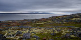 201011-2870.jpg