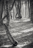 201231-3989.jpg