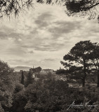 211023-1583.jpg