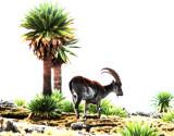 Mammals in Ethiopian Somali- and Gondar Regions 2018