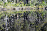 pool on Deep River