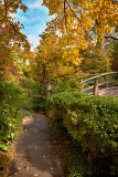 fort_worth_japanese_gardens