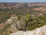 View from cliff trail