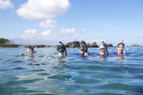 Snorkeling is a favorite Hawaii activity for us all!