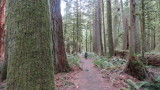 Olympic, WA